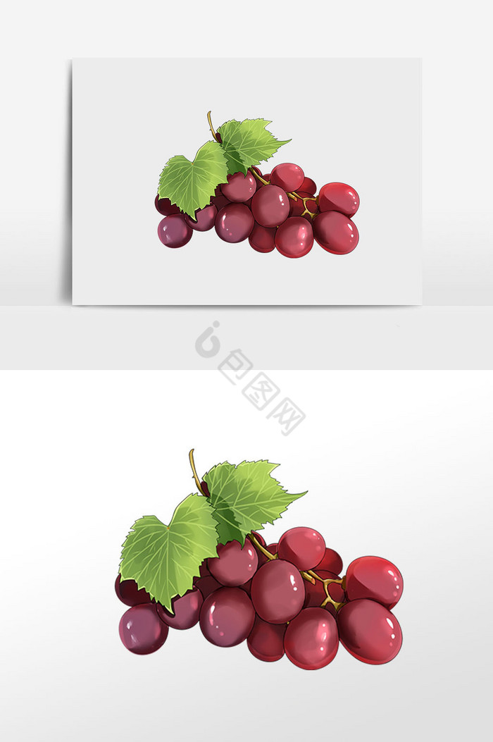 水果葡萄插画图片