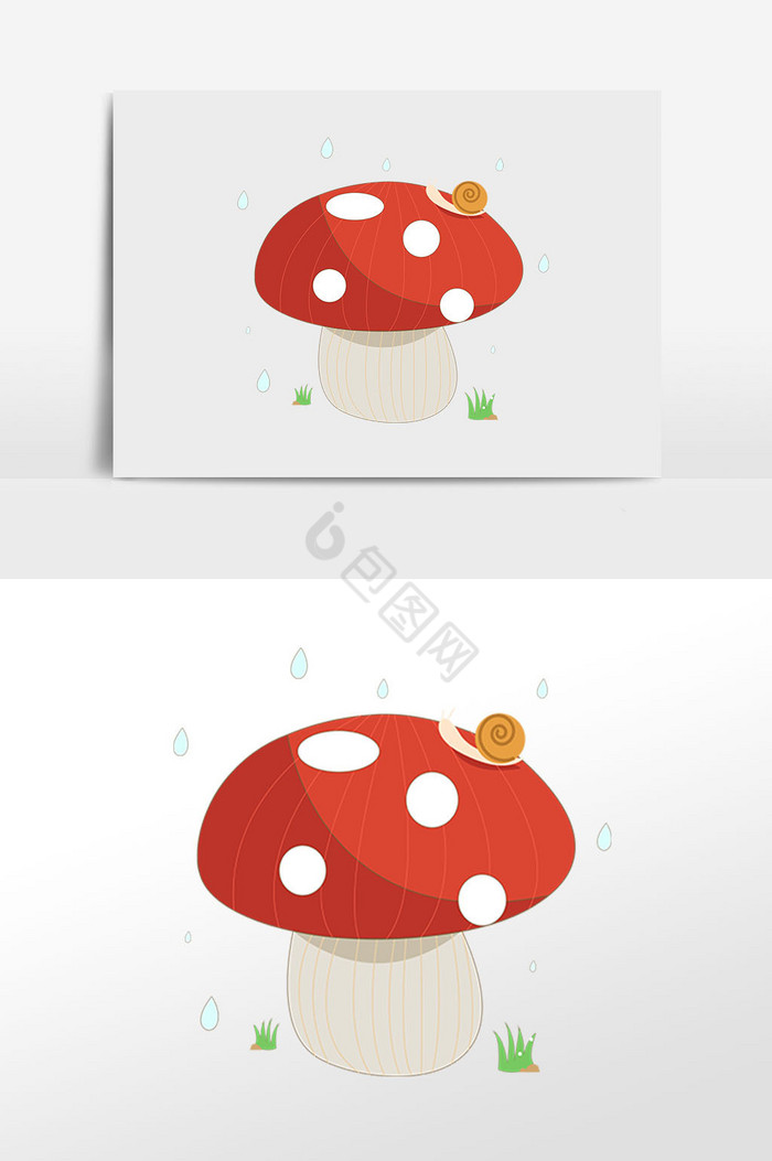 菌类蘑菇插画图片