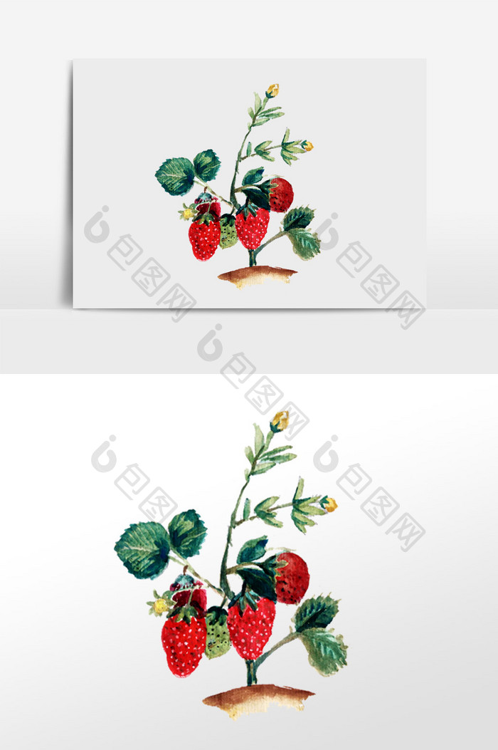 水彩手绘草莓插画元素