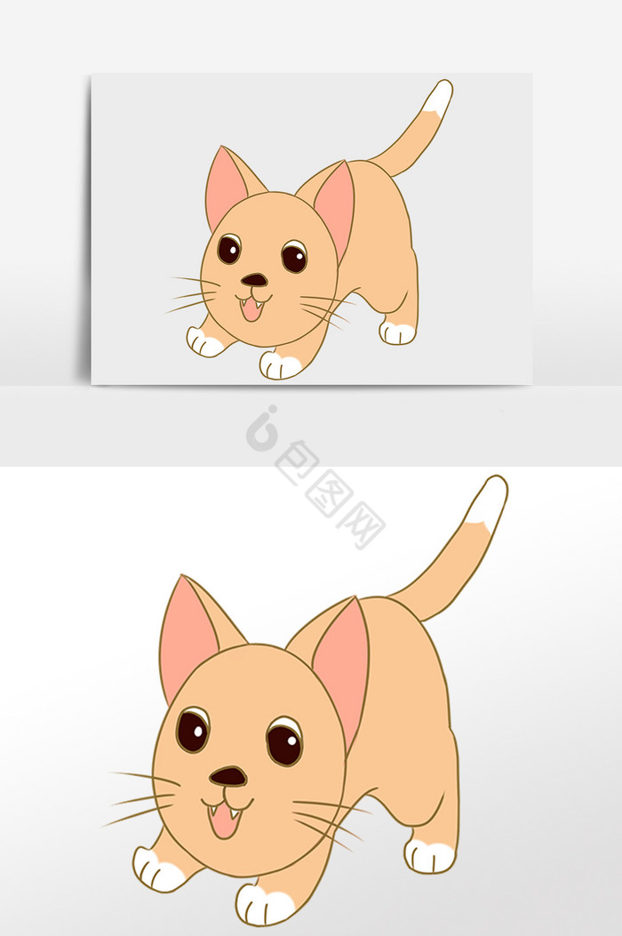 宠物猫图片