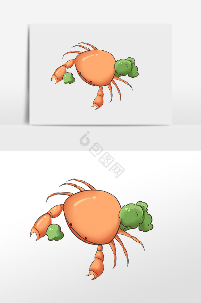 水产螃蟹插画图片