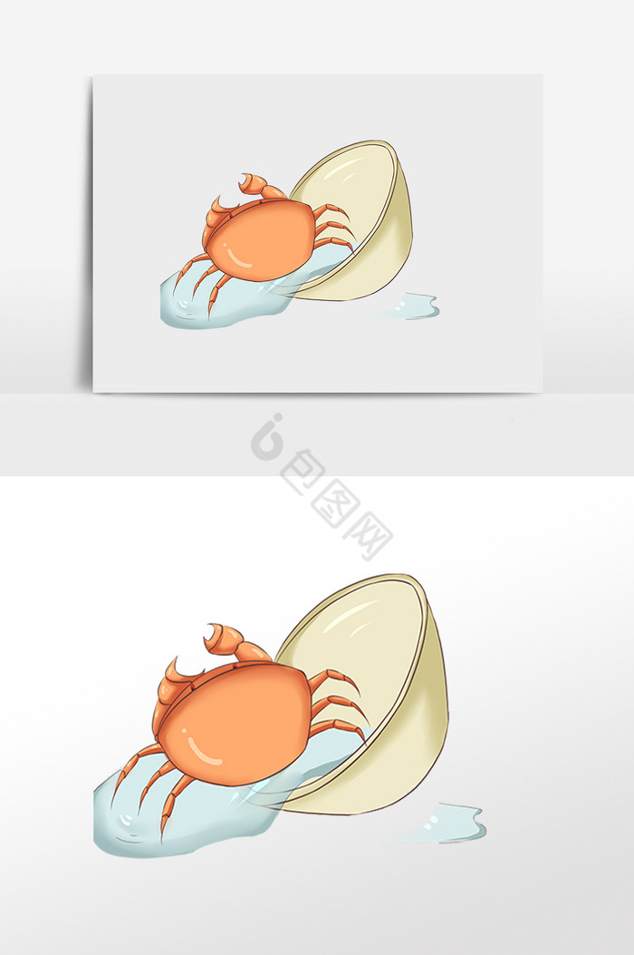 新鲜活螃蟹插画图片