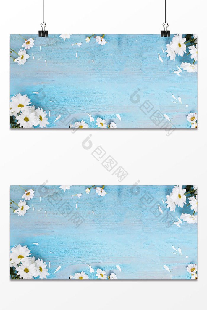 木板菊花图片图片