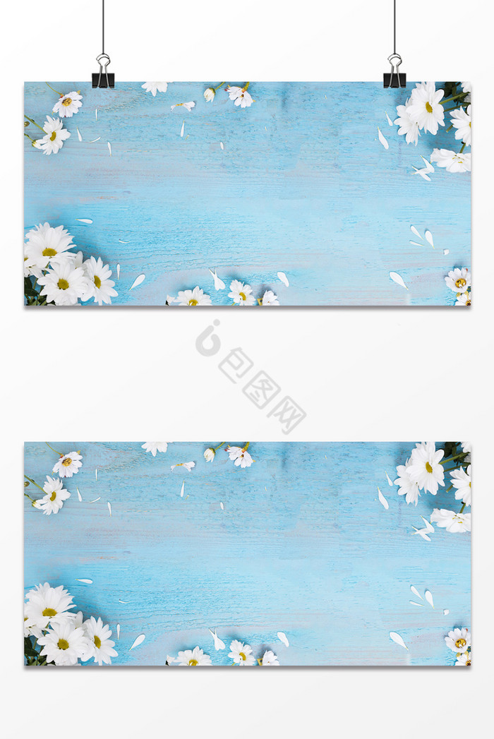 木板菊花图片