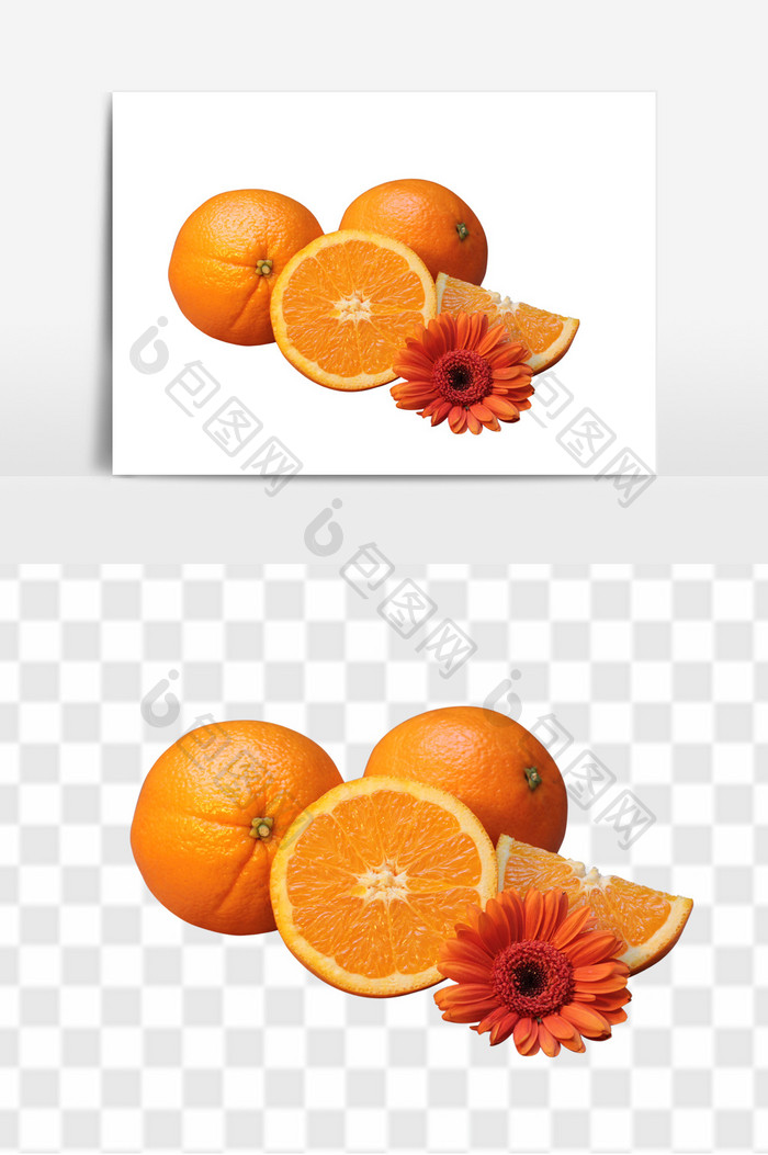 新鲜水果橘子PNG免抠设计素