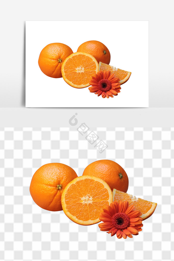 新鲜水果橘子PNG免抠素图片