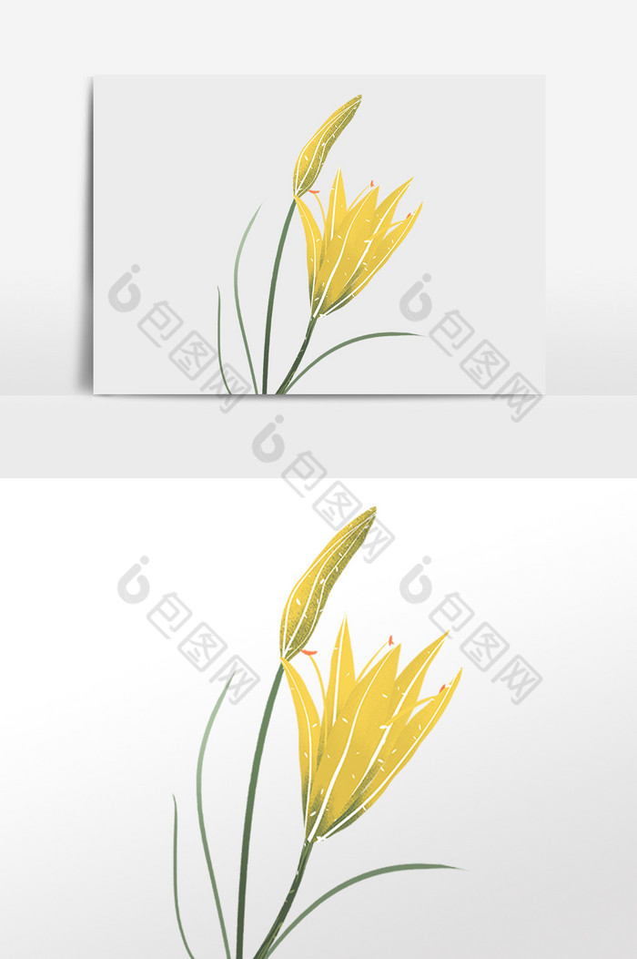 中国风小清新黄色金针花插画元素