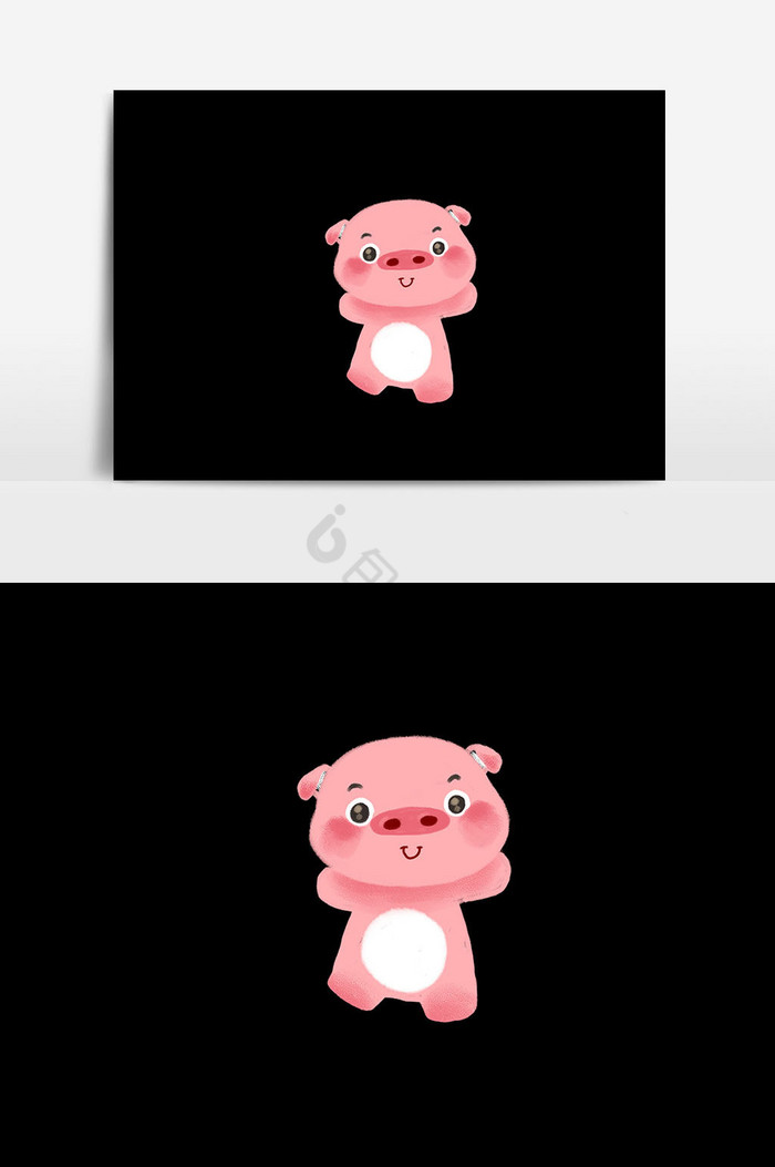 小猪动物图片