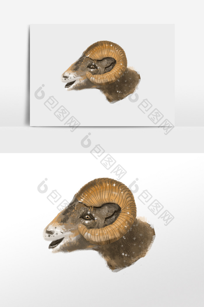 动物羊头插画素材