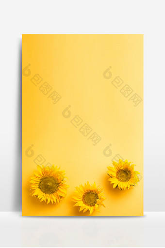 清新自然黄色菊花背景图片