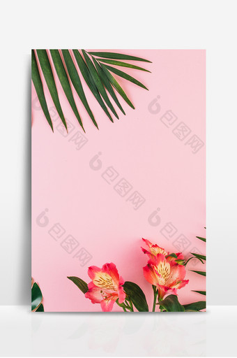 粉色浪漫叶子花朵背景图图片
