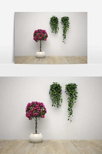 室内吊藤植物组合模型图片