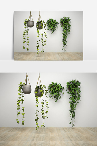 室内吊装绿萝装饰组合模型图片
