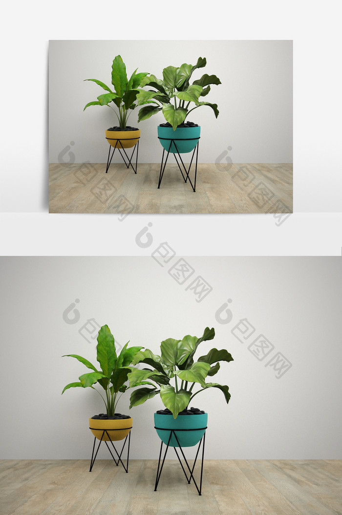 室内大叶植物装饰模型效果