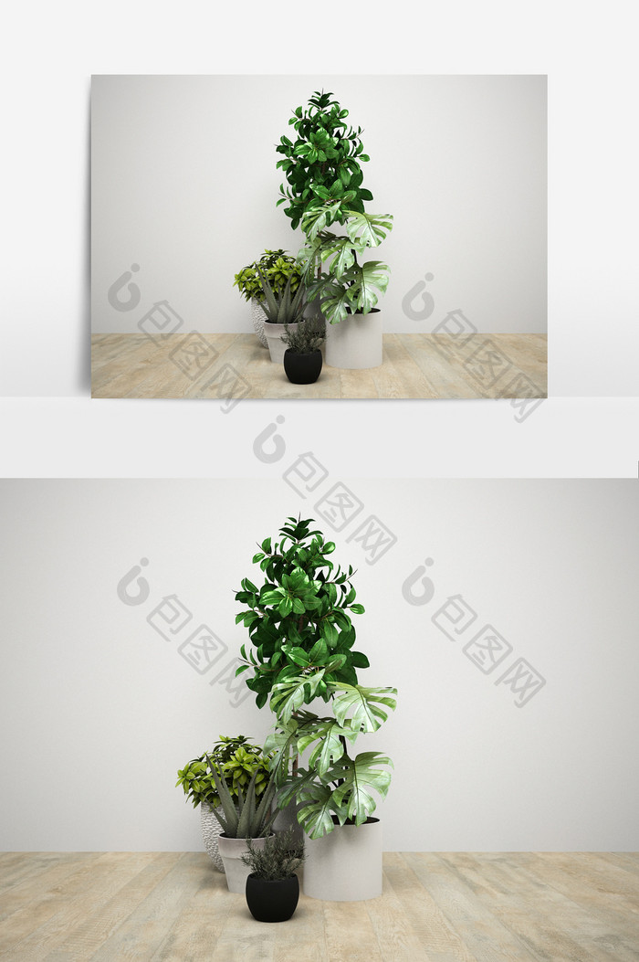 装饰盆栽植物组合模型