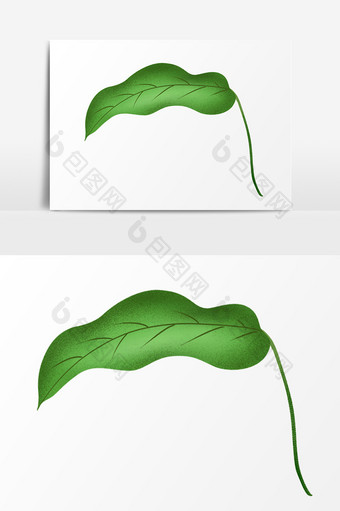 绿色大片的叶子PSD素材图片