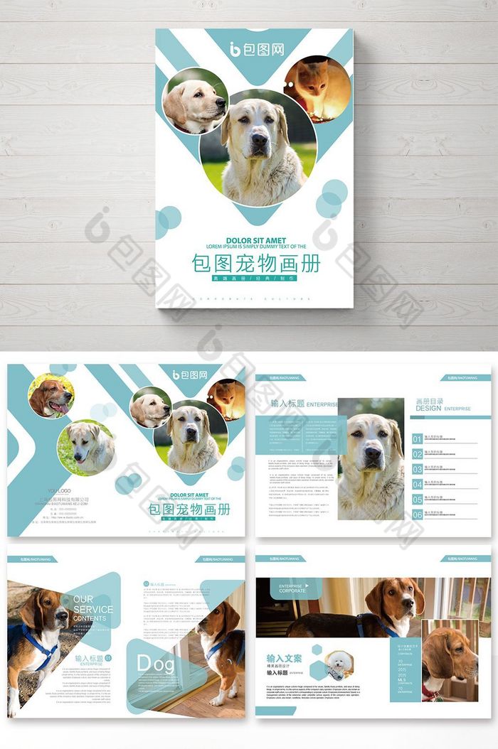宠物画册图片