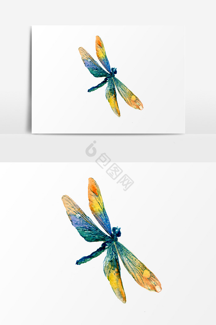 蜻蜓PSD图片
