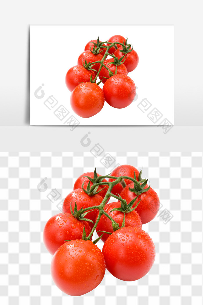 新鲜果实西红柿元素