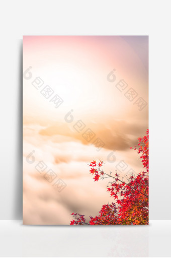 秋天日出观景枫叶云层背景图片