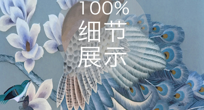 中式唯美孔雀鸟儿玄关装饰画