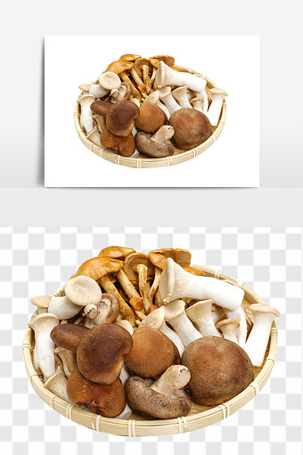 新鲜进口菌菇食物组合元素图片