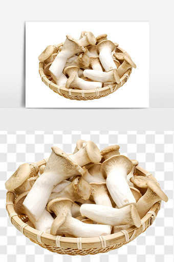 新鲜进口菌菇鸡腿菇元素图片