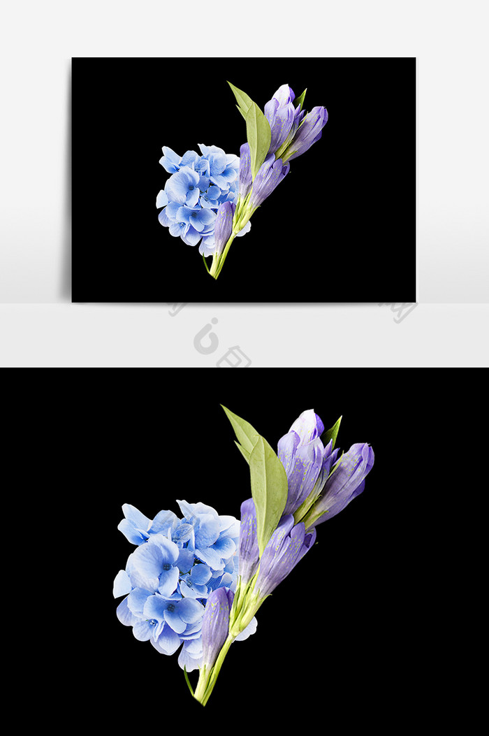 蓝色花装饰设计元素