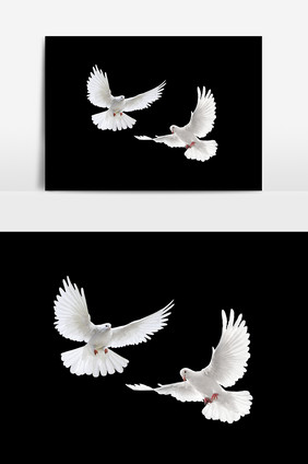 和平鸽设计图片