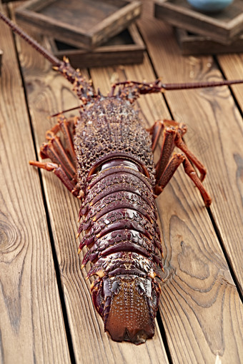 木板上的澳洲大龙虾