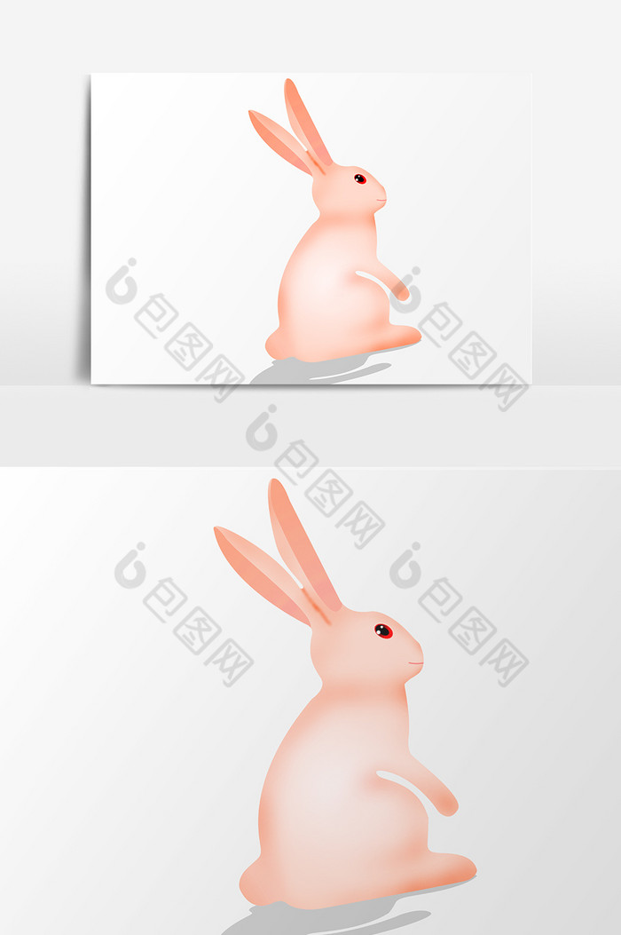 兔子图片图片