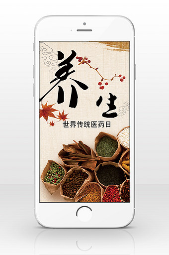 世界传统医药日养生传统文化手机海报图图片
