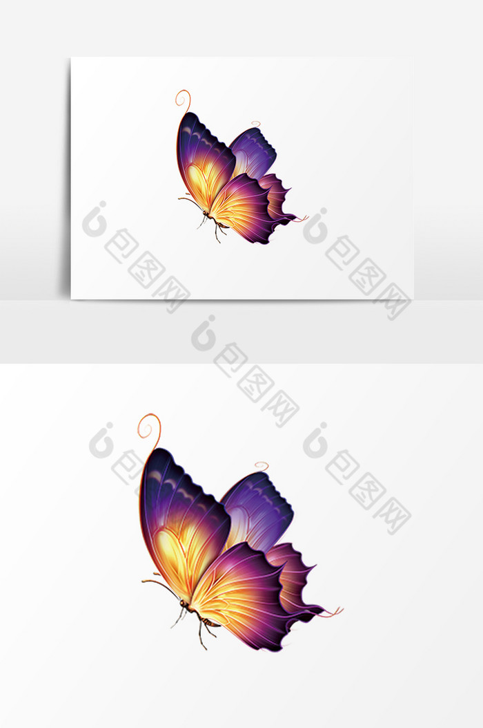 蝴蝶PSD图片图片