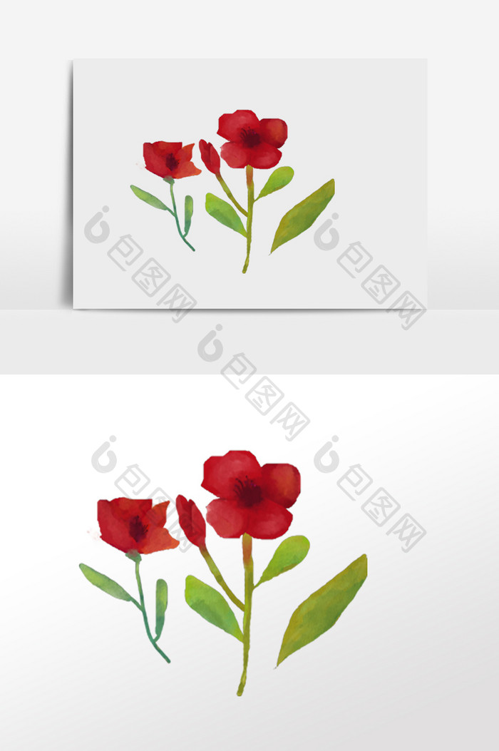 水彩手绘元素红色的花