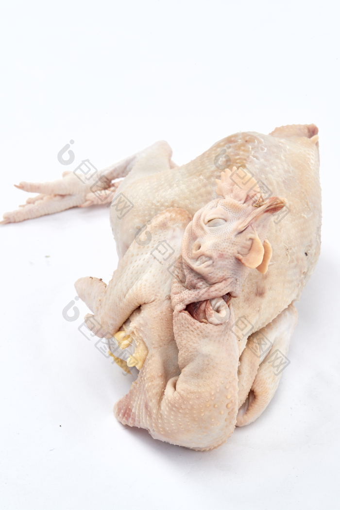 摆放在白色背景上的生鲜鸡肉整鸡图片-包图网企业站