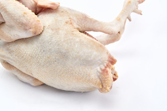 摆放在白色背景上的生鲜鸡肉整鸡