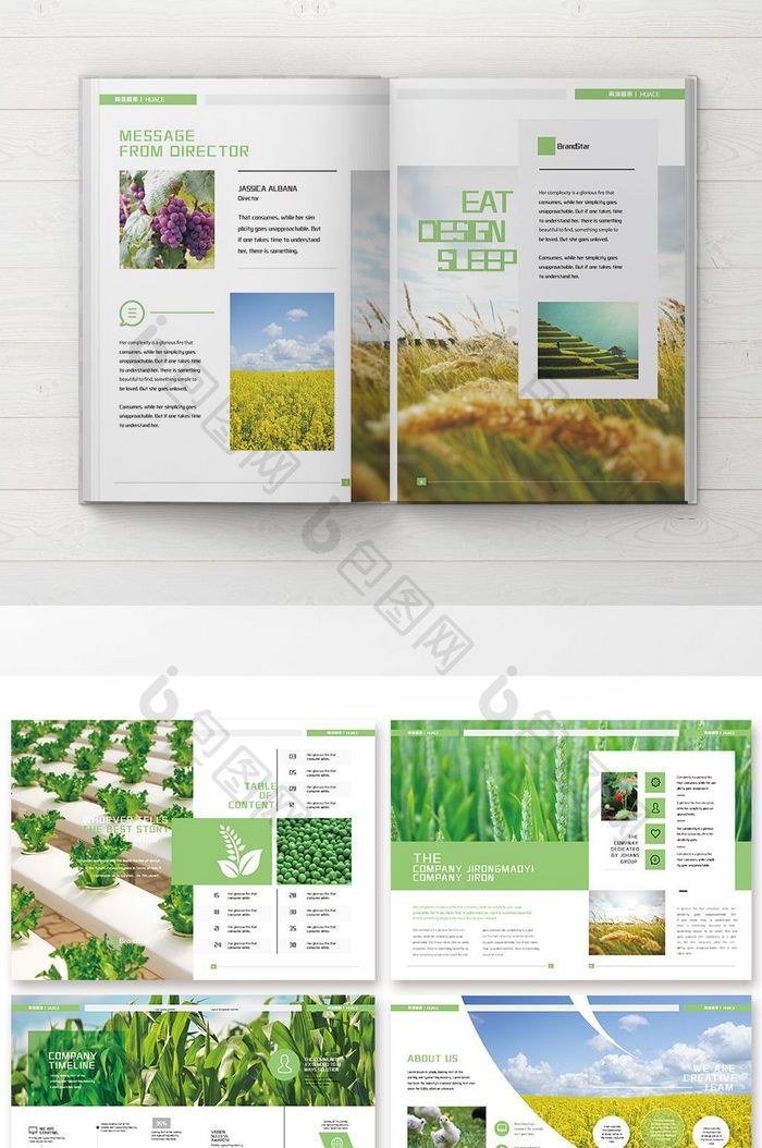 清新时尚农业产品行业画册
