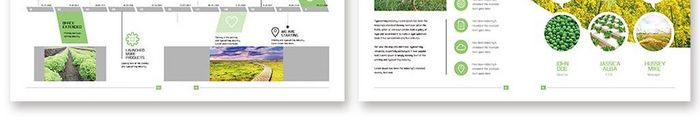 清新时尚农业产品行业画册