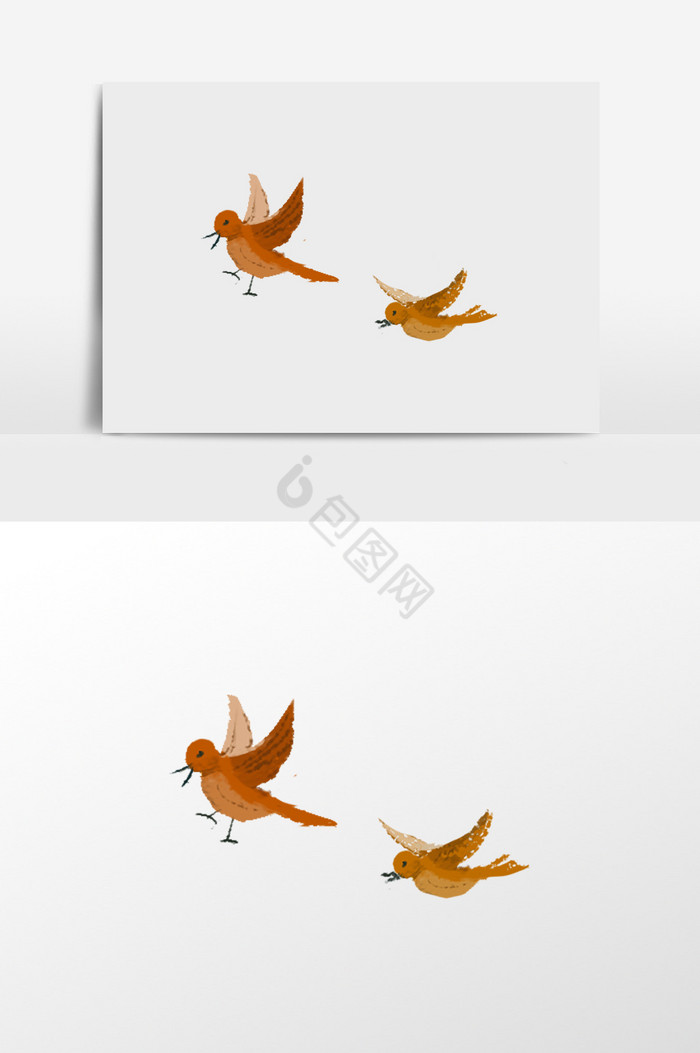 两只飞着的鸟插画图片