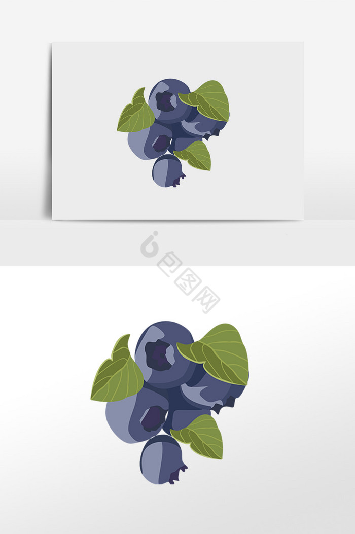 蓝莓插画图片