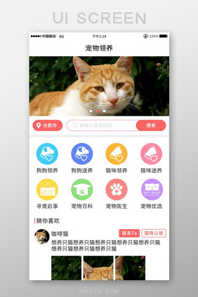 简约彩色宠物领养app首页