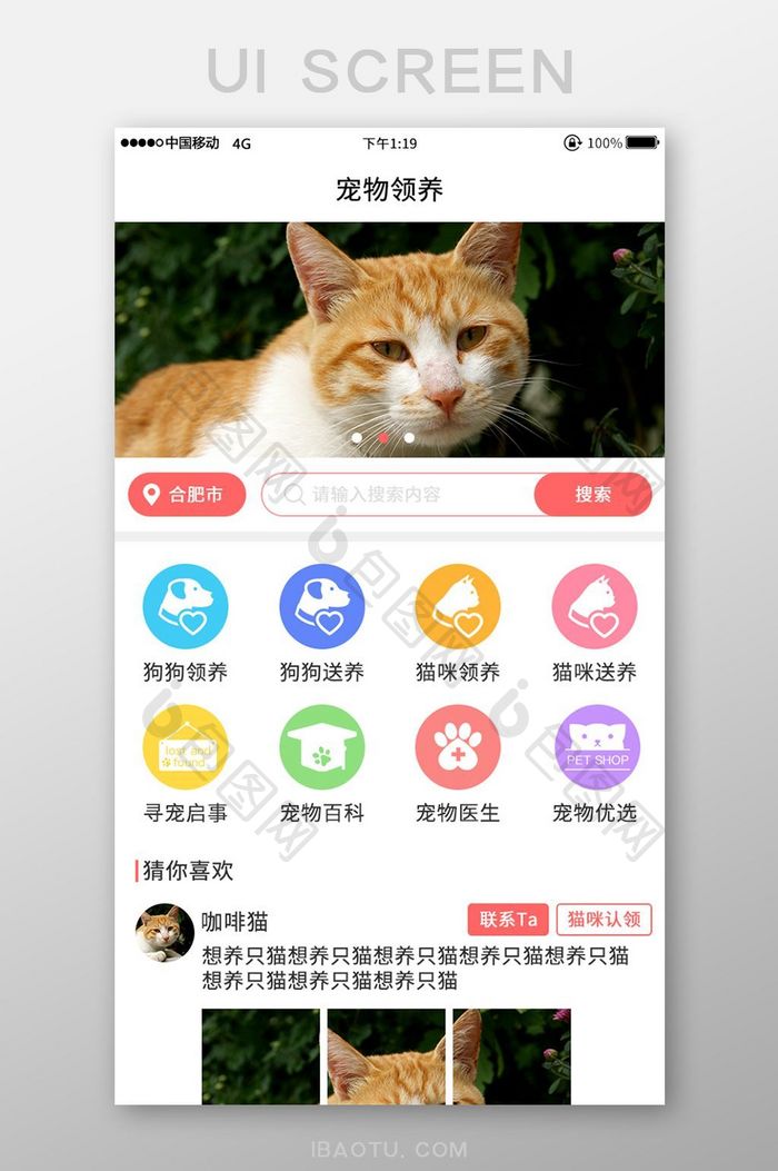 简约彩色宠物领养app首页