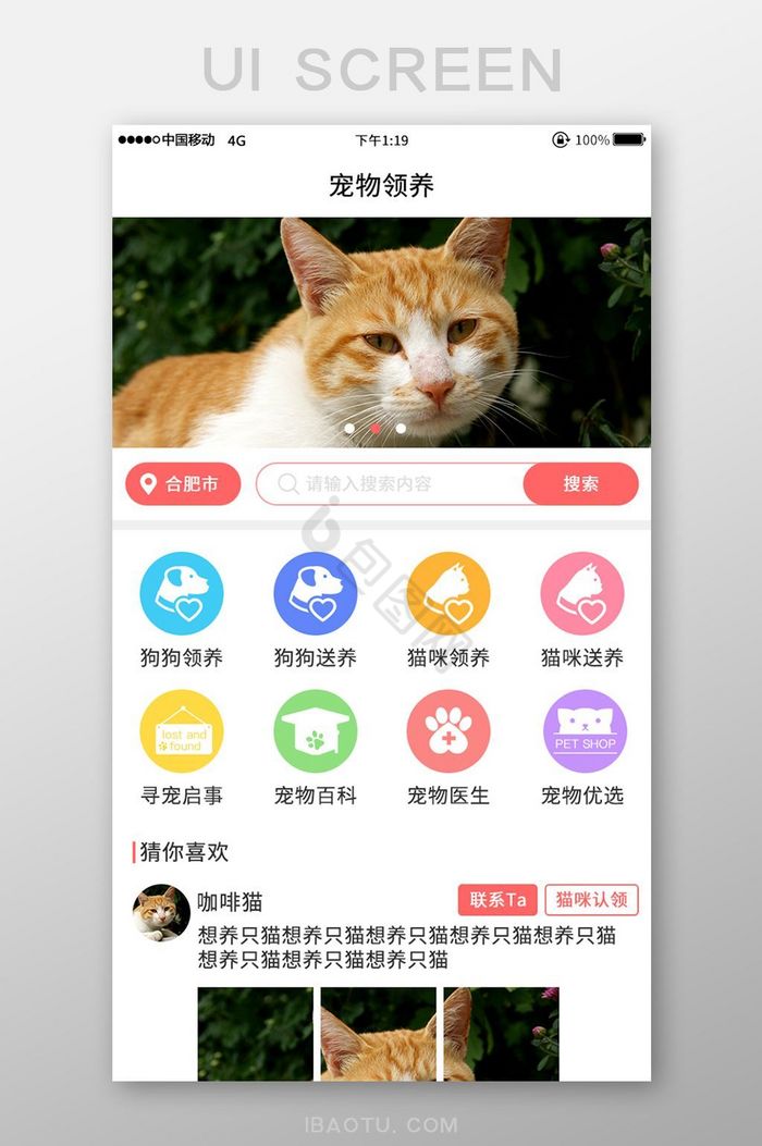 简约彩色宠物领养app首页图片
