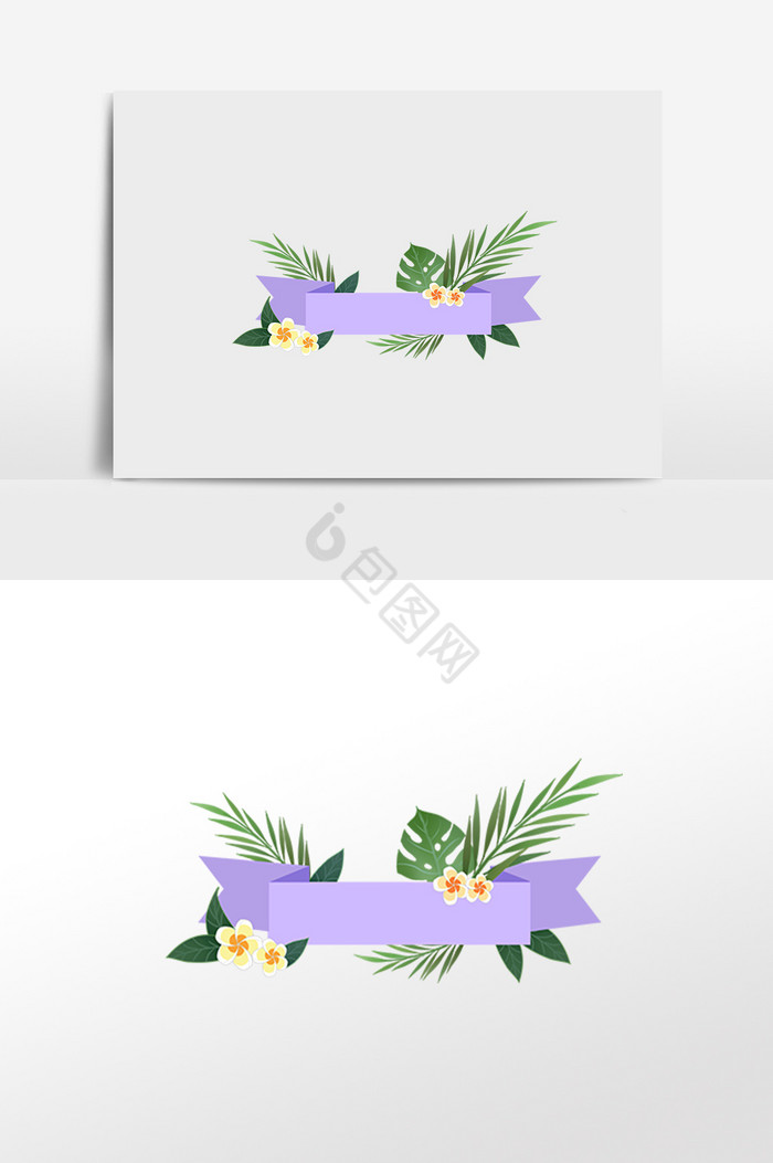 彩带热带植物边框插画图片