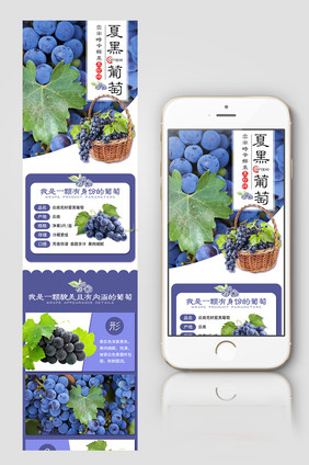 生鲜水果原生态云南夏黑葡萄手机端模板