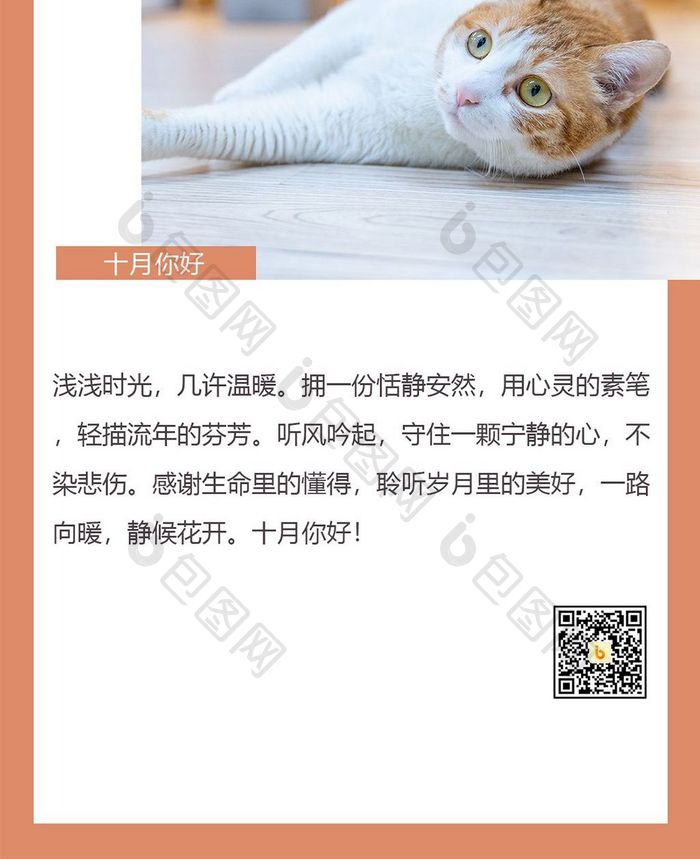 唯美猫咪十月你好日签