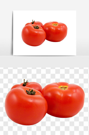 新鲜番茄西红柿甜脆多汁西红柿蔬菜元素图片