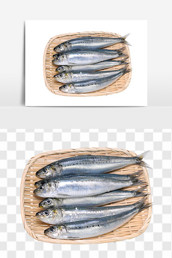 新鲜进口海鲜沙丁鱼素材图片