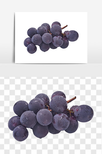 新鲜进口蓝葡萄水果元素图片