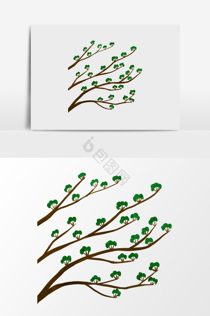 树枝绿叶插画图片